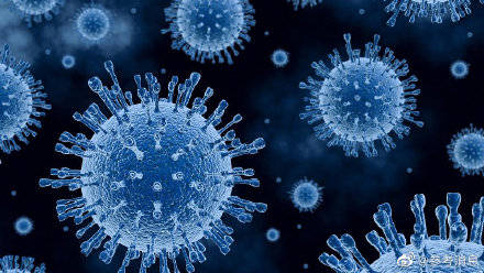 病毒|美媒称新冠病毒或存在两个月循环周期