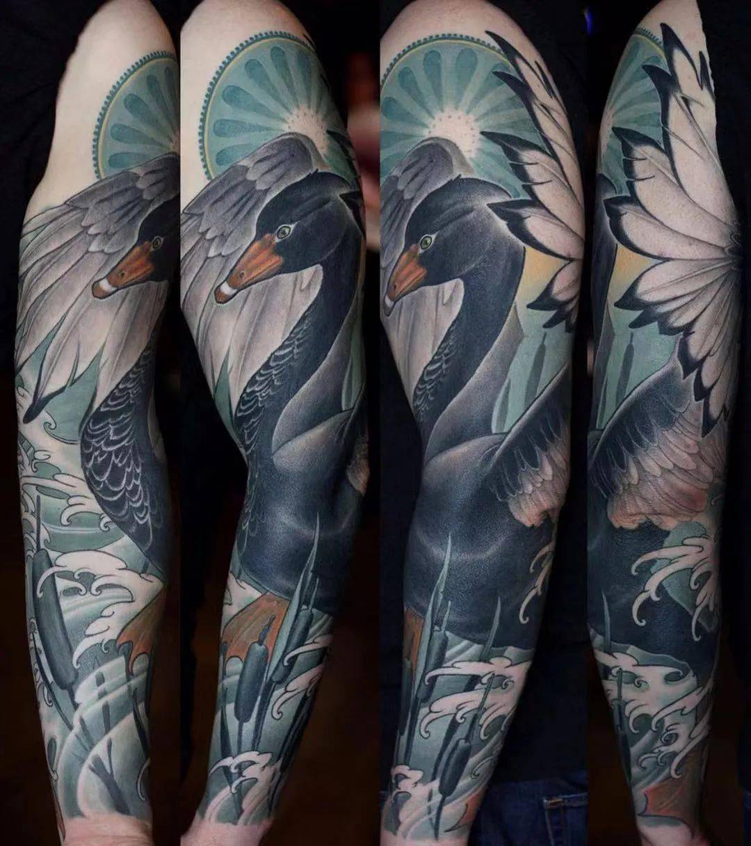 高贵的黑天鹅纹身