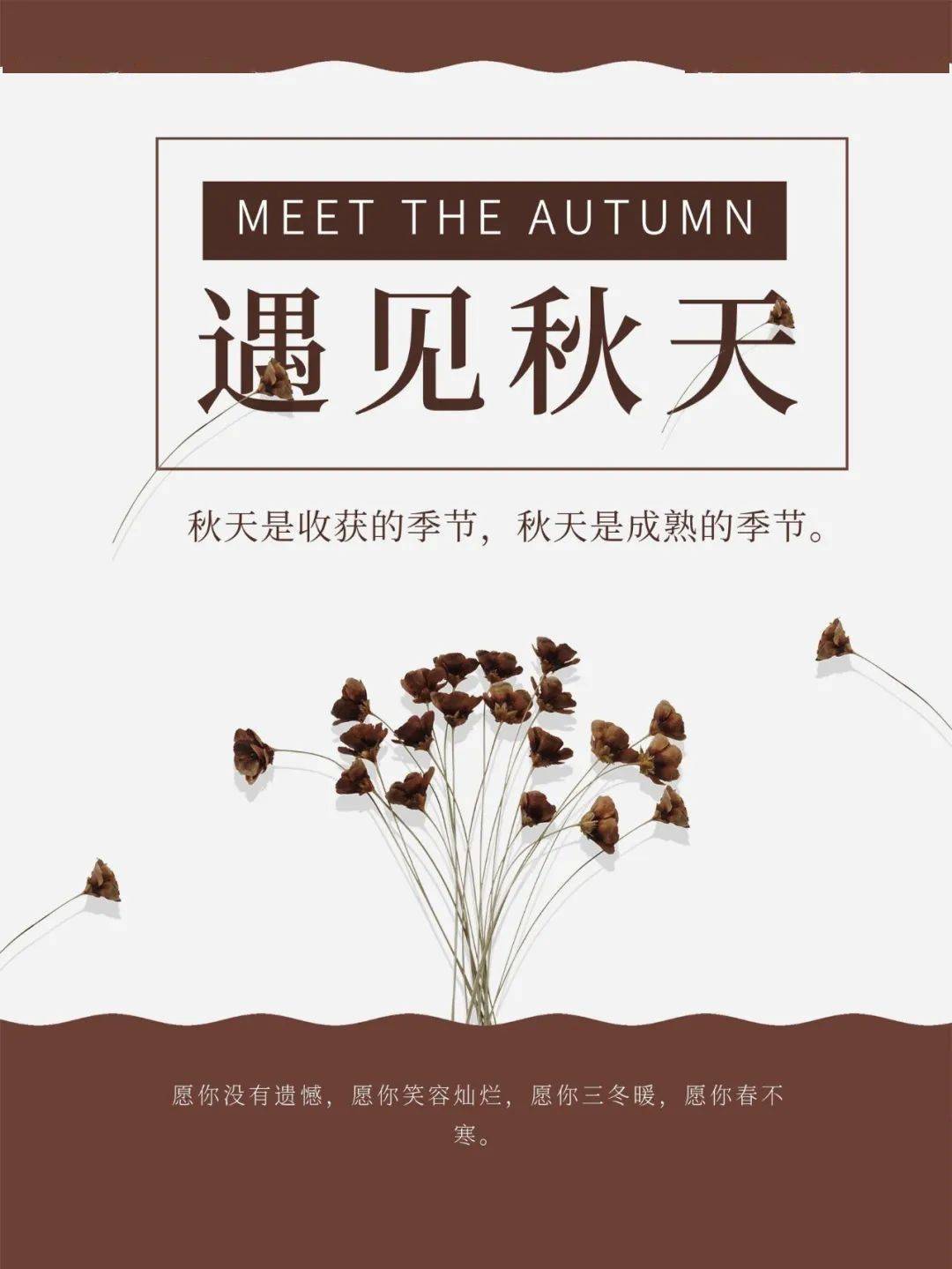 十月 愿你没有遗憾 愿你笑容灿烂 季节