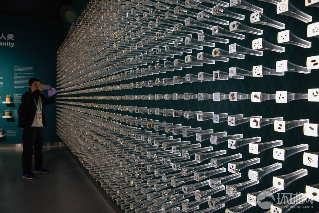 种子也可以色彩斑斓探访中国第一个种子博物馆