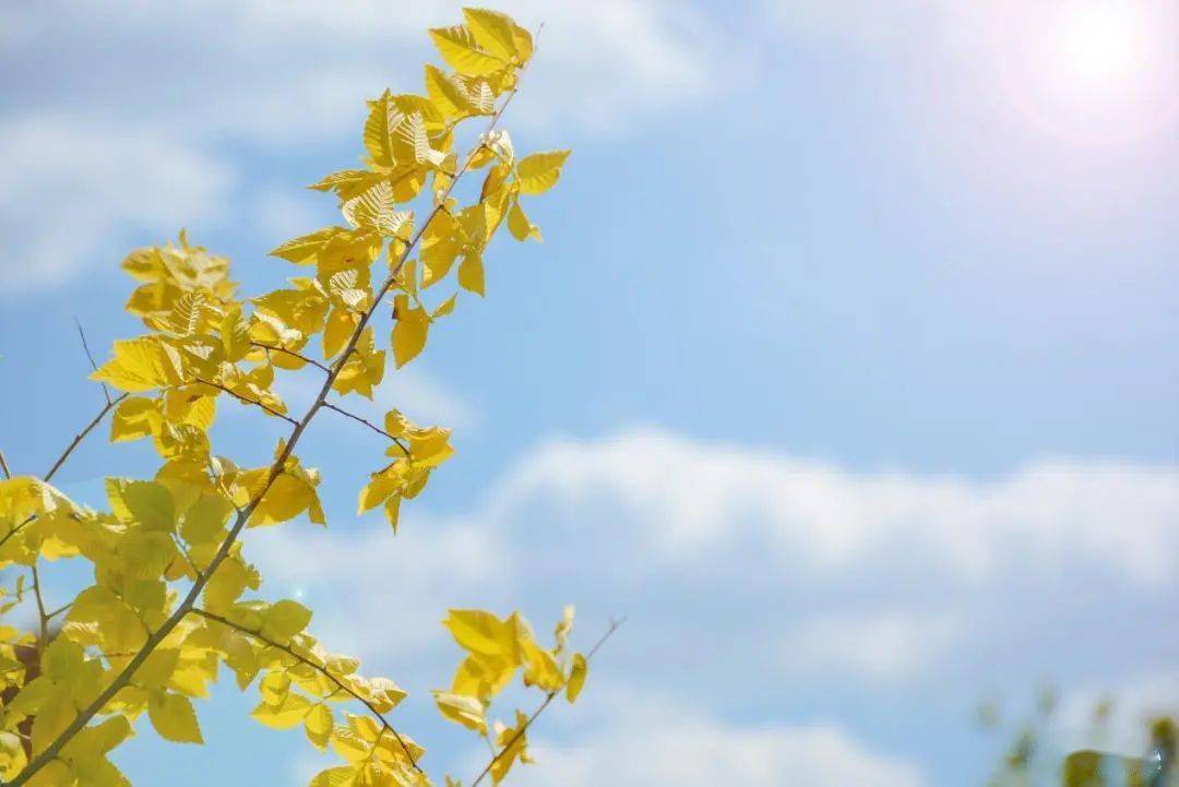 万山 秋天的第一张照片，当然要定格在最美的校园 | 征集