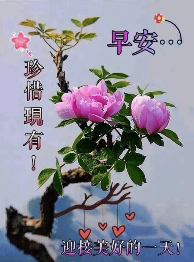 d30443466cb24c95b2f5e392b7fd760b.png