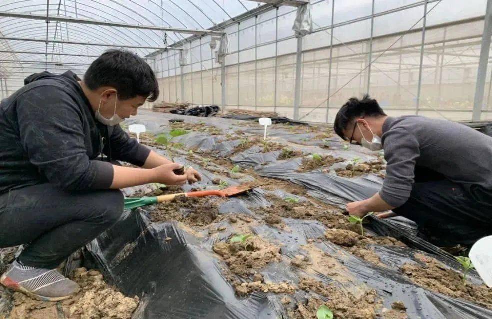 构建体系_劳动实践报告1000字大学篇_国学教育和传承文化