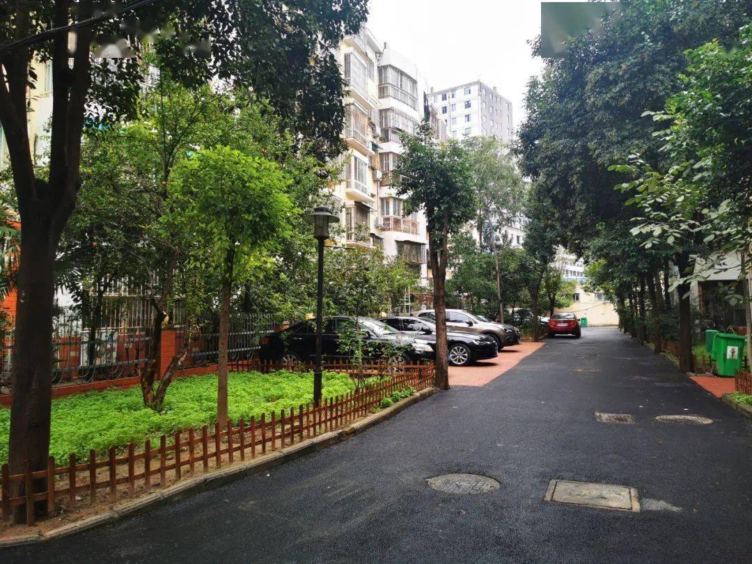 密码小区 e56149080b1c4009ae879fd3f02ae9d8.jpeg