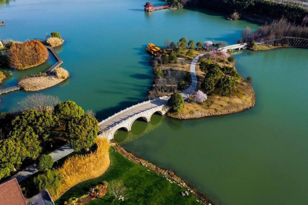 人间宝藏苏州这个国家湿地公园全球出名啦