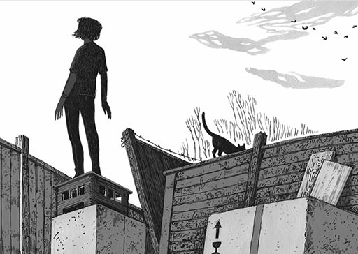 文章配图-48