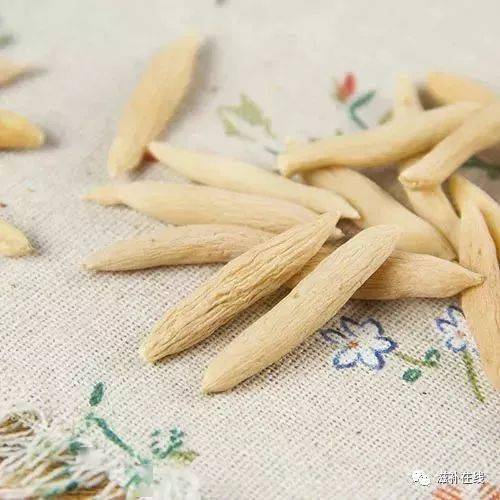 花旗参和西洋参是一样的药材吗 a942f7a8084040059277d8c81990026b.jpeg