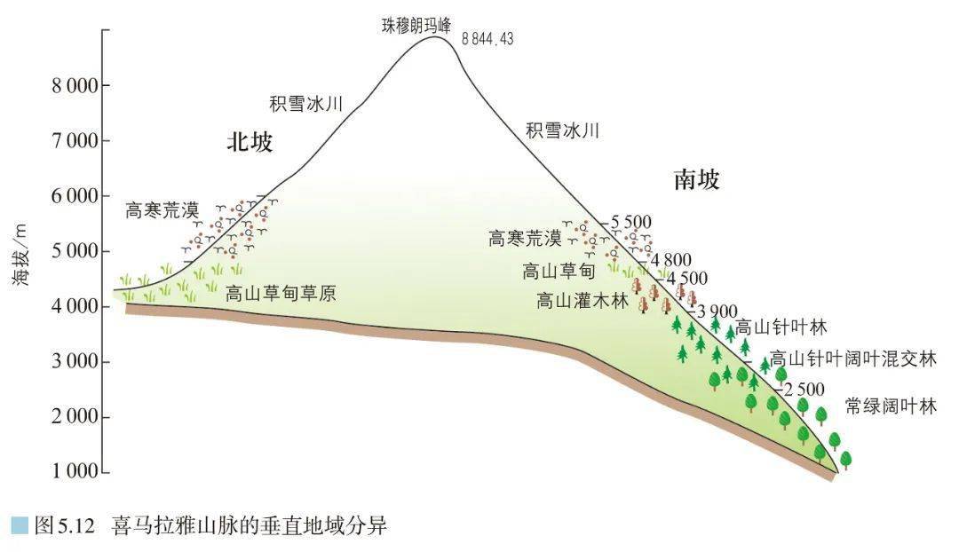 地理干货几大高山的垂直带普