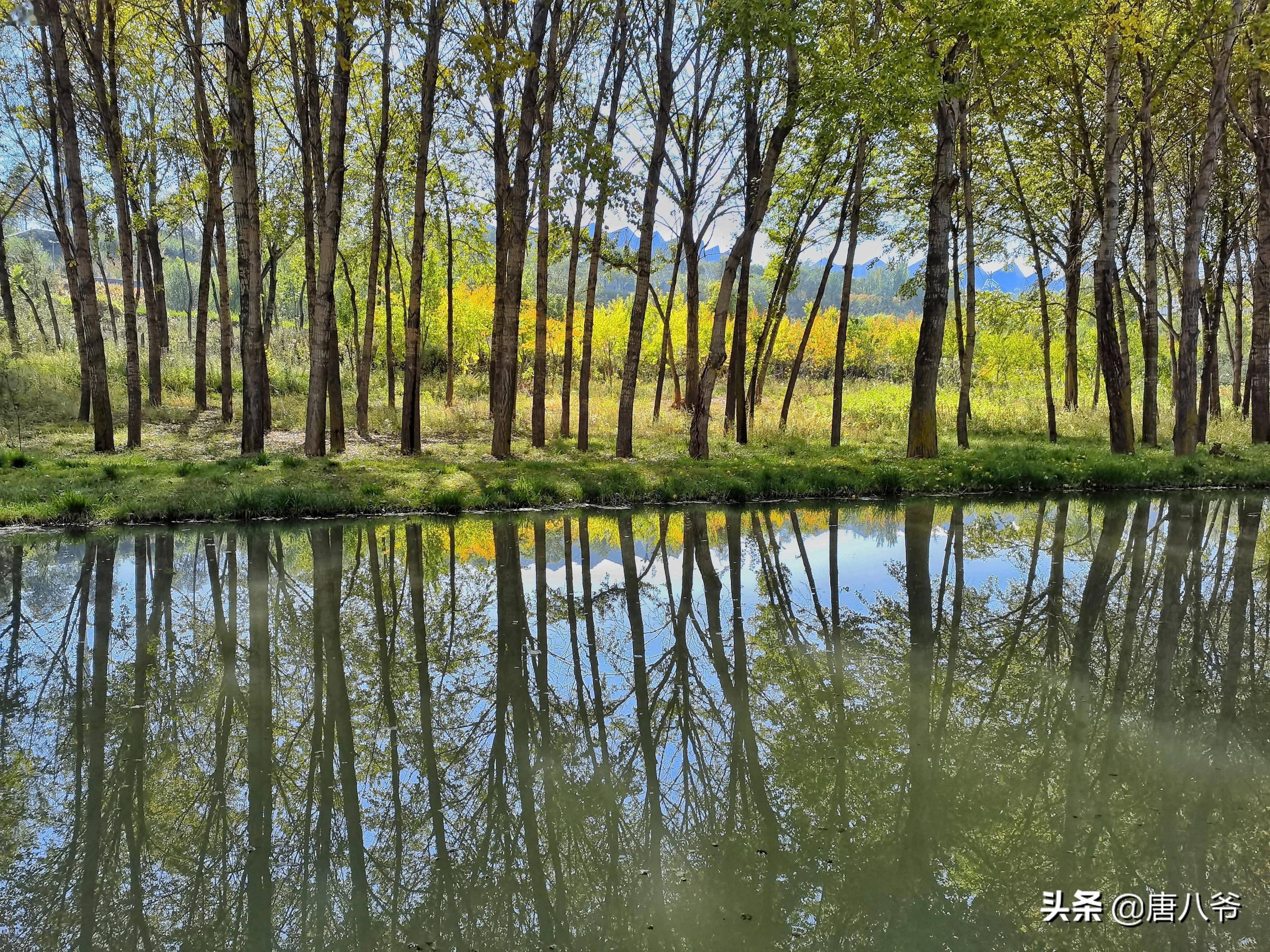 西宁湟水河图片图片