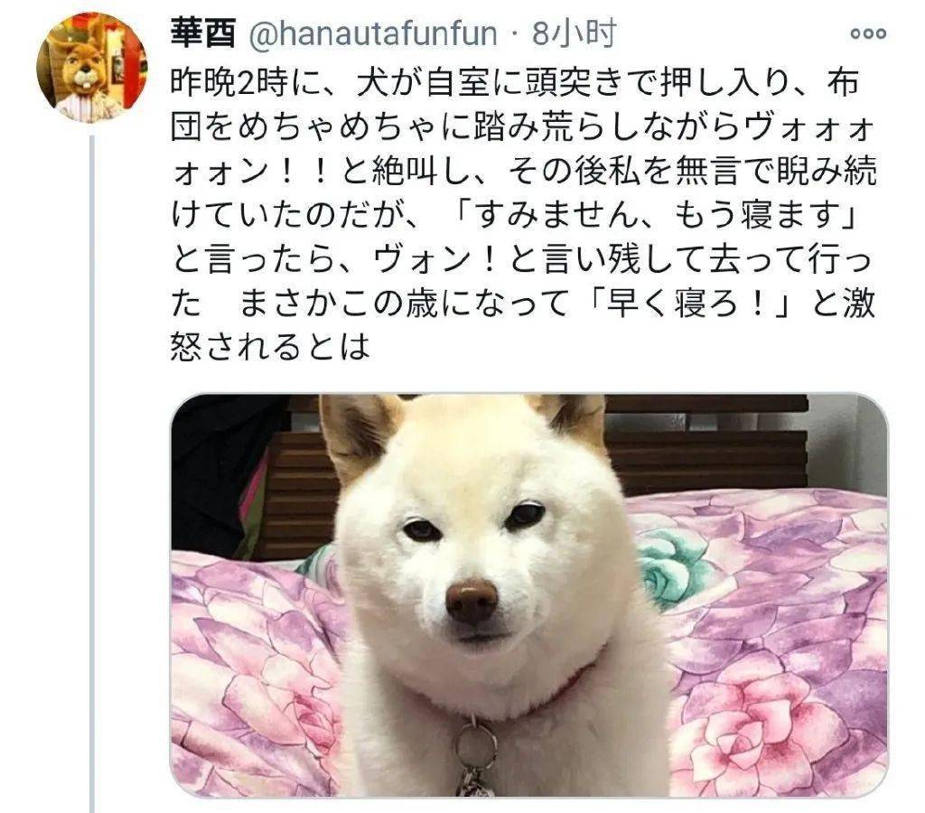 26d5b354dc264257a3f45765c7f19a31.jpeg