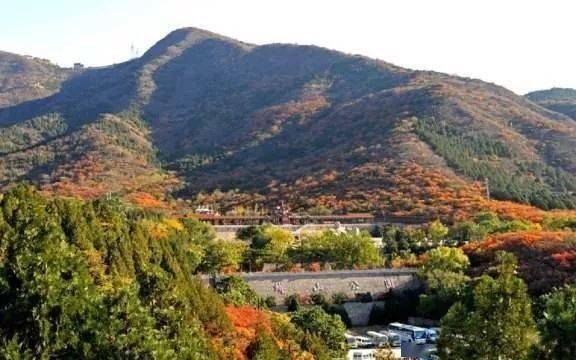 賞秋何必擠香山,昌平這麼多好的賞秋景點,您不去看看?