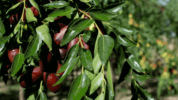 566_318gif 动态图 动图