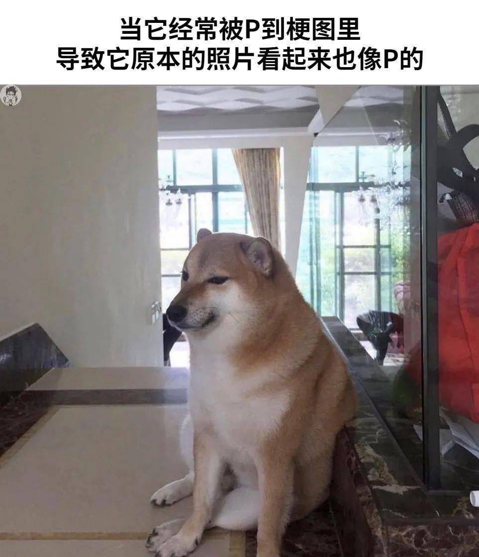 baefccbeb1ca43669616db78c0f8f87b.jpeg