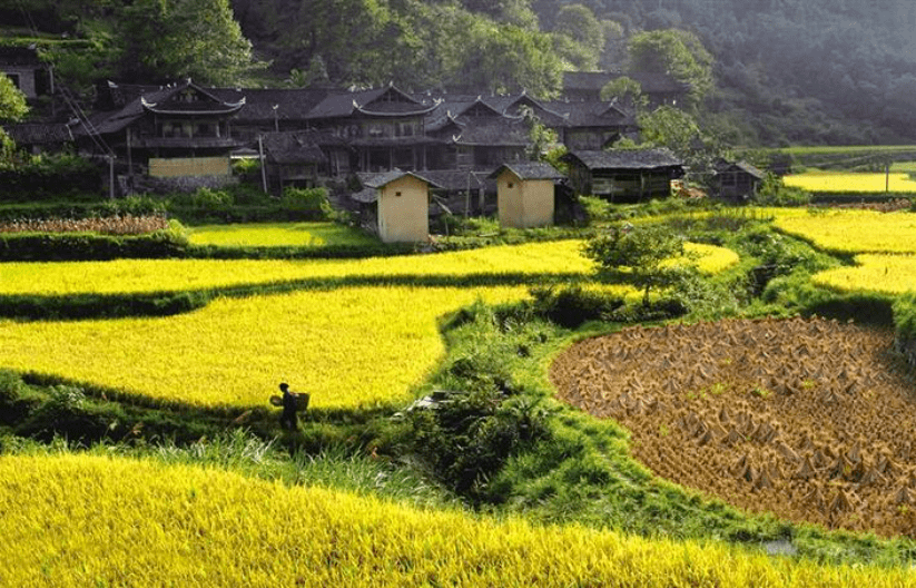 天门婚纱摄影_应天门图片(3)