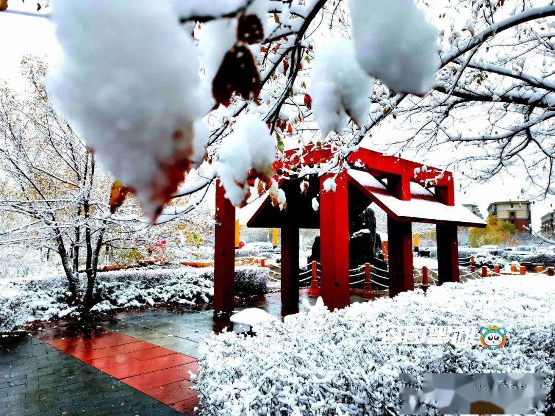 哈尔滨|黑龙江省多地迎来第一场雪！强冷空气来袭，大部地区最高气温10℃以下