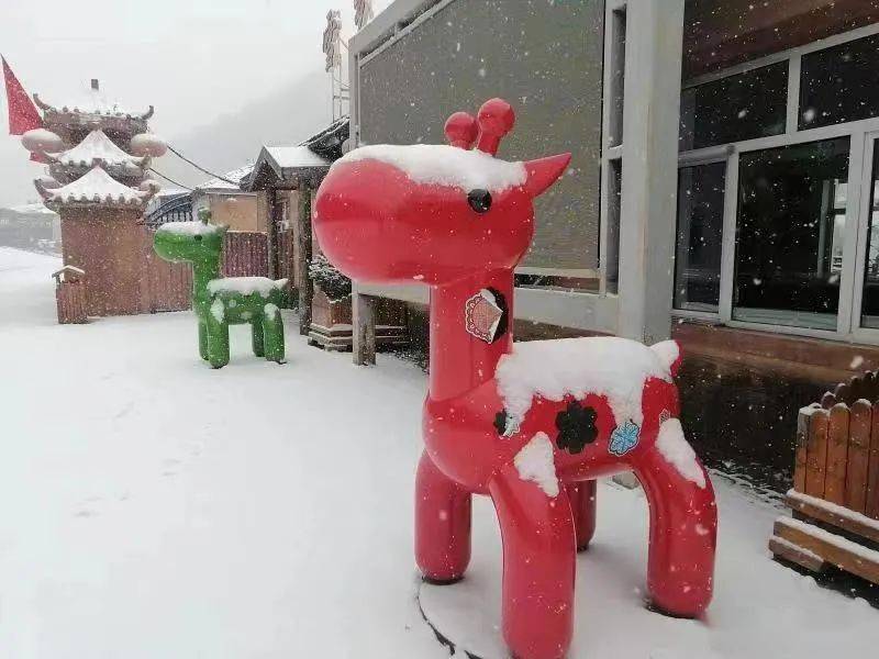 哈尔滨|黑龙江省多地迎来第一场雪！强冷空气来袭，大部地区最高气温10℃以下