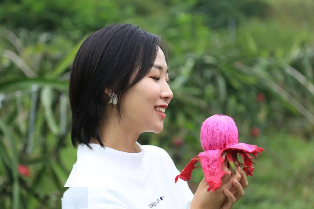 红!红!井研这个火龙果