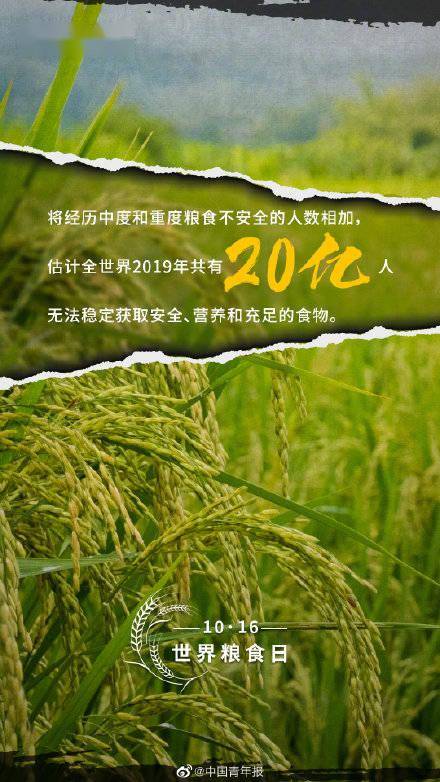 食物|关于粮食你可能不知道的事实