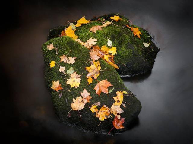 时候秋天的慢门怎么拍出与众不同的感觉？有5条捷径可走！