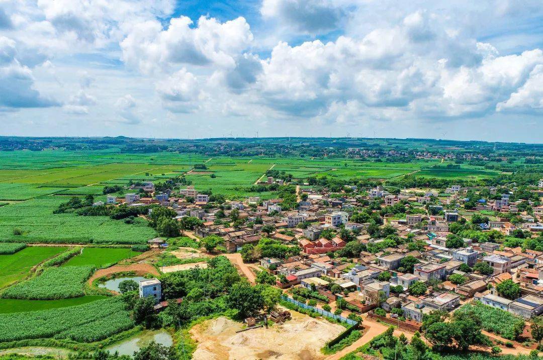 这周末,小编带你穿越回明清年代"趁圩" →_英利镇