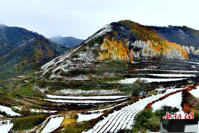 田园村|兰州榆中皑皑白雪装扮斑斓秋色