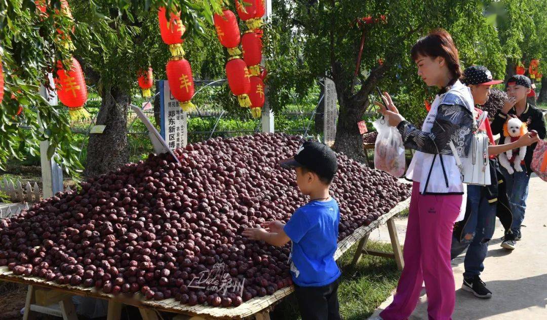 景区|Date with 郑州｜阳光正好，出游正当时！