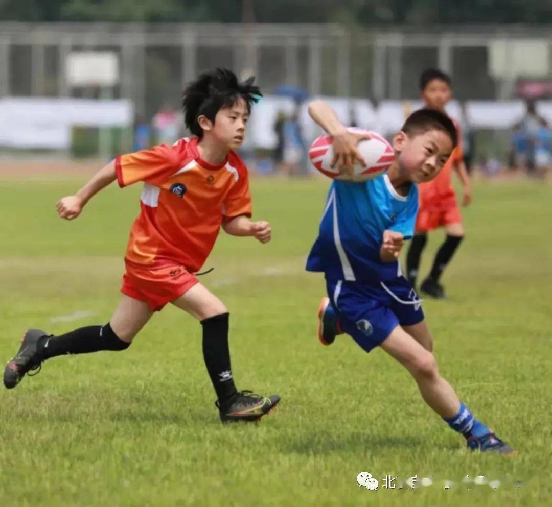 中国橄榄球协会成立触式橄榄球工作组