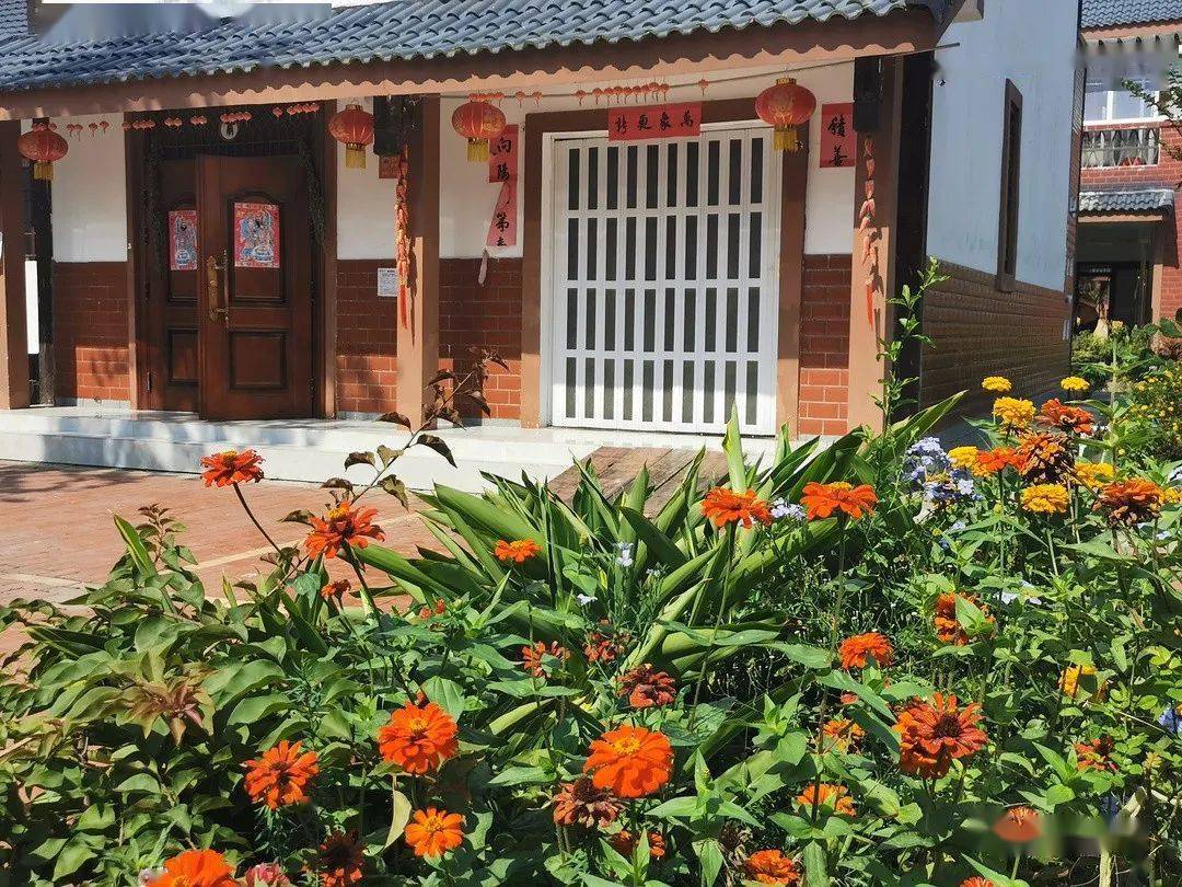 盆景变风景 花园变家园 简阳这些乡村小院里藏着"桃花源"