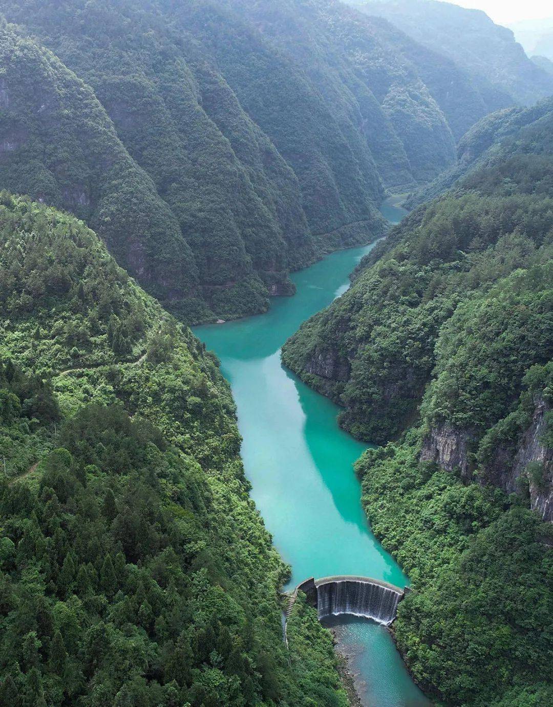 松桃高端网站建设_(松桃高端网站建设招标)
