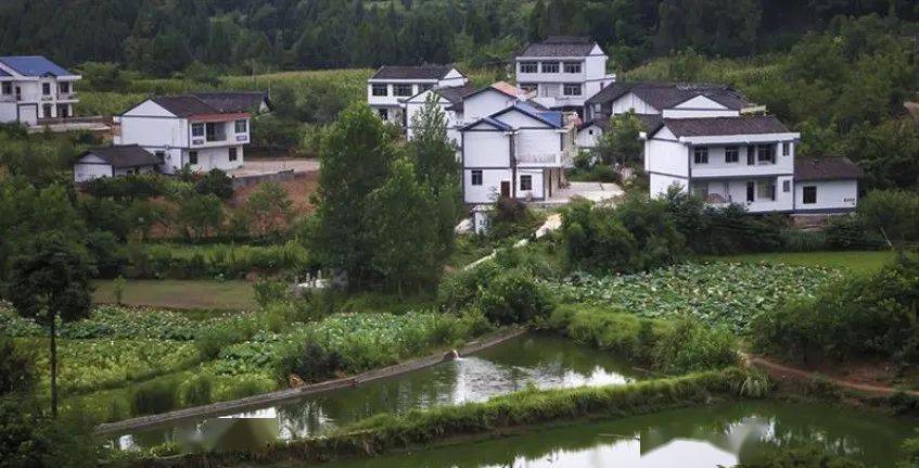 南部农村户口的恭喜!乡村最新规划来了