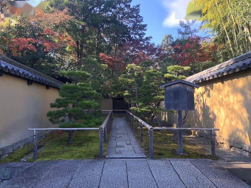 秋之韵 · 大德寺高桐院