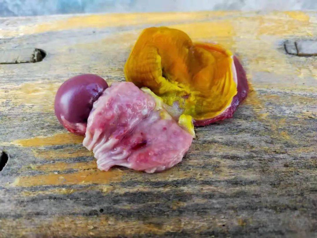 鸡腺肌胃炎的防治