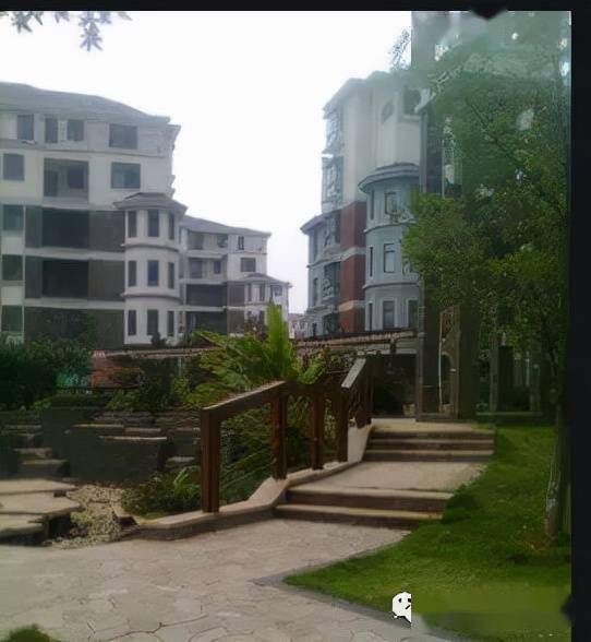 江夏藏龙岛一小区成立业委会难正在依法依规按程序推进