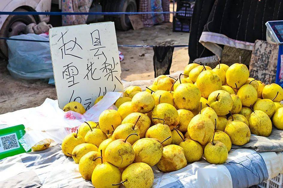 今天这个声名远扬的大集,开集了!够大,够丰富,够便宜!
