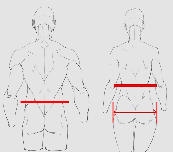 3招教你学会男女背部的画法差异