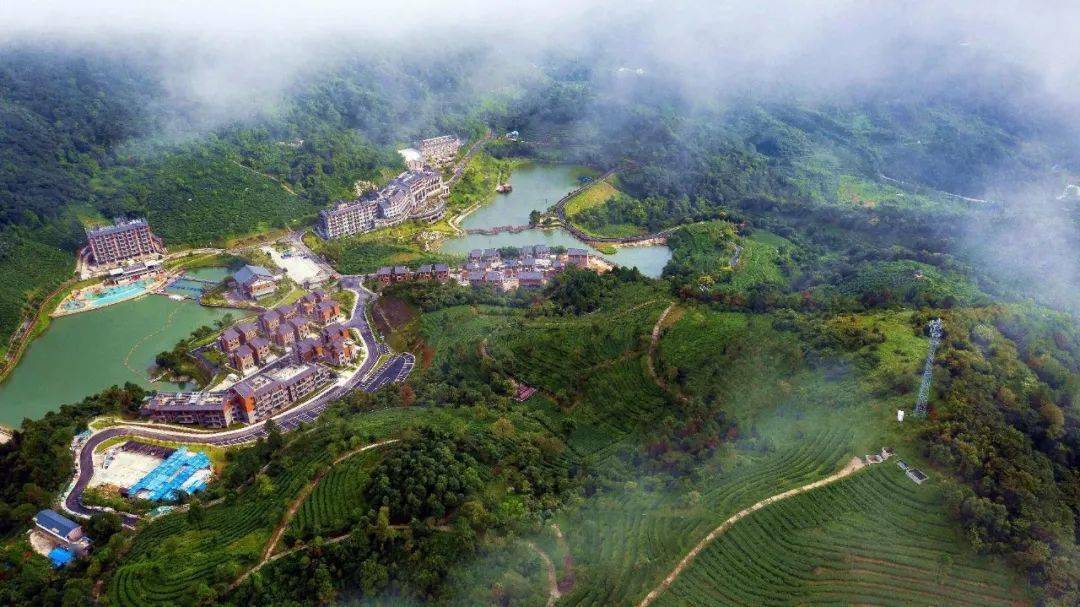 厉害新兴这个镇去年全镇实现税收收入4278万元