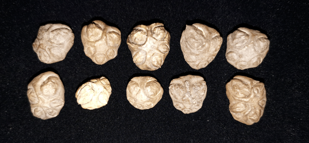 丨花颜鸟语_面子