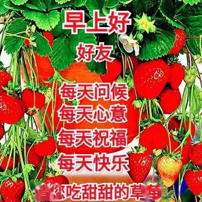 早晚天冷小心著涼保重身體快樂吉祥