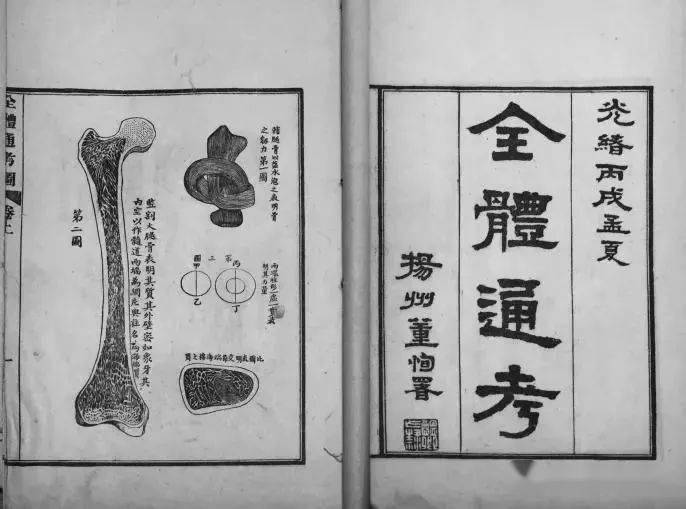 出了全部的《gray`s anatomy》,並請大學士董恂題書名《全體通考》,由