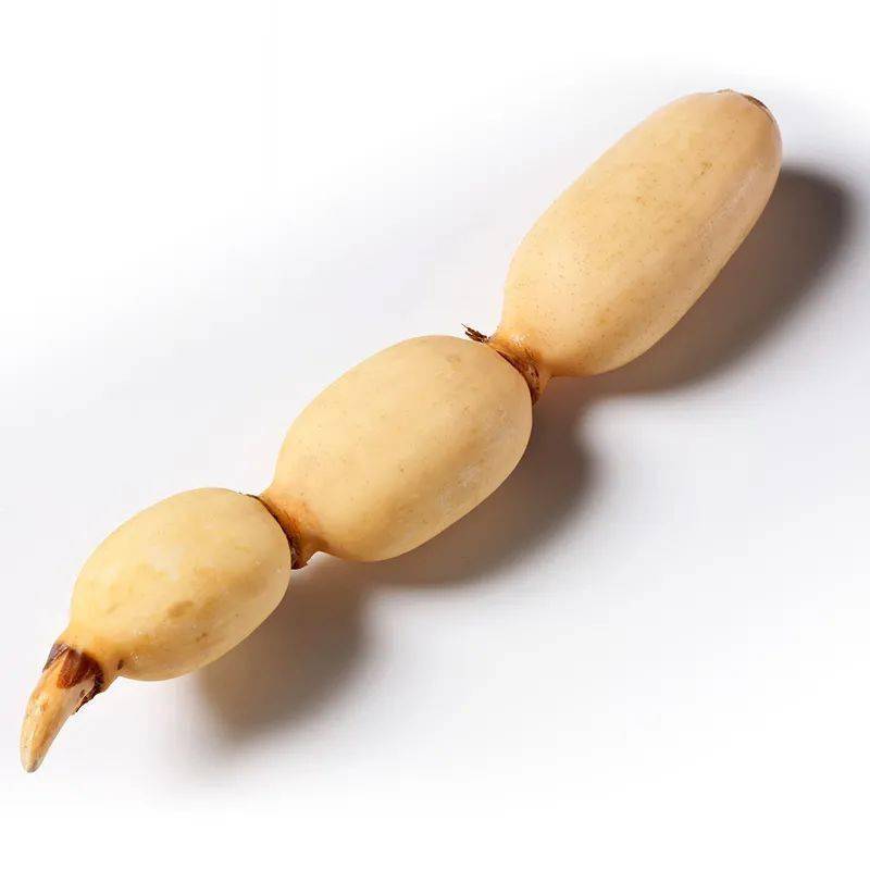 产地食材▎洪湖有机嫩藕一节好藕一口脆甜粉糯香甜秋冬滋补食材