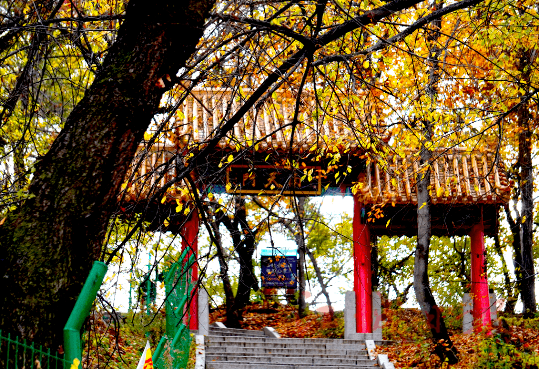 小黄花|冰雪都带不走的吉林市秋季打卡地