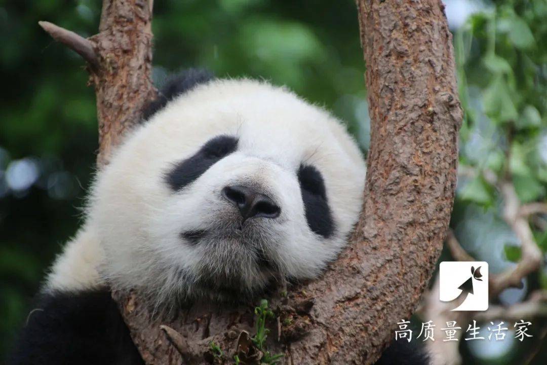 寢具|睡覺時為什么不能“腳朝西頭朝東”？今天終于知道了