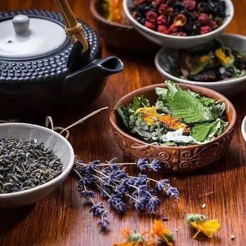 中药代茶饮,您了解吗?_药物