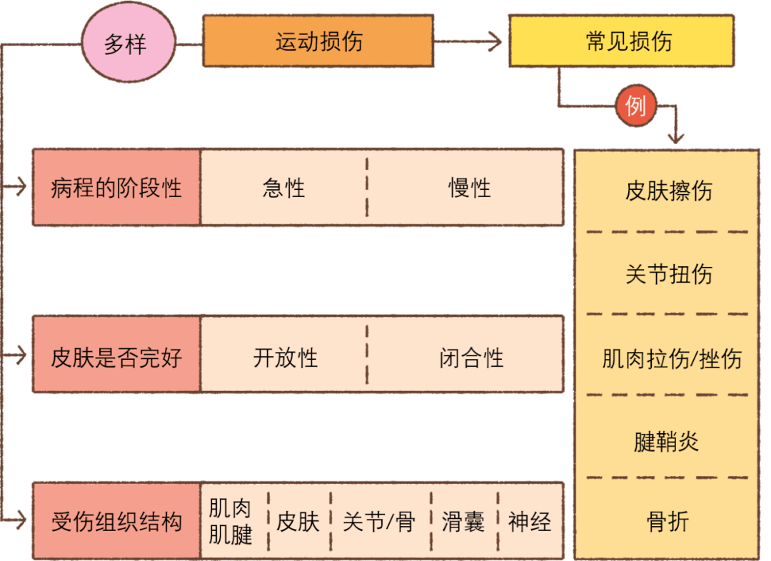 儿童青少年为什么容易发生运动损伤如何预防