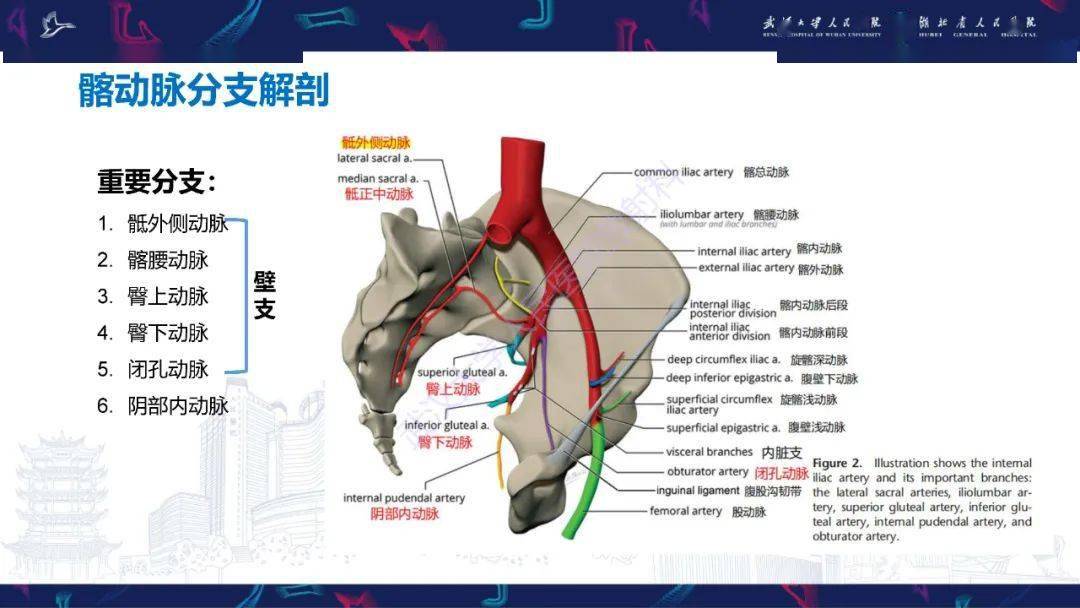 骨盆骨折合併血管損傷ct診斷