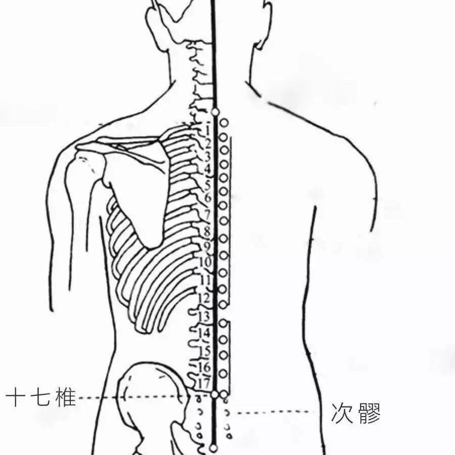 十七椎穴十七椎穴定位技巧:找到腰两边胯骨的最高点,连接两个点,在