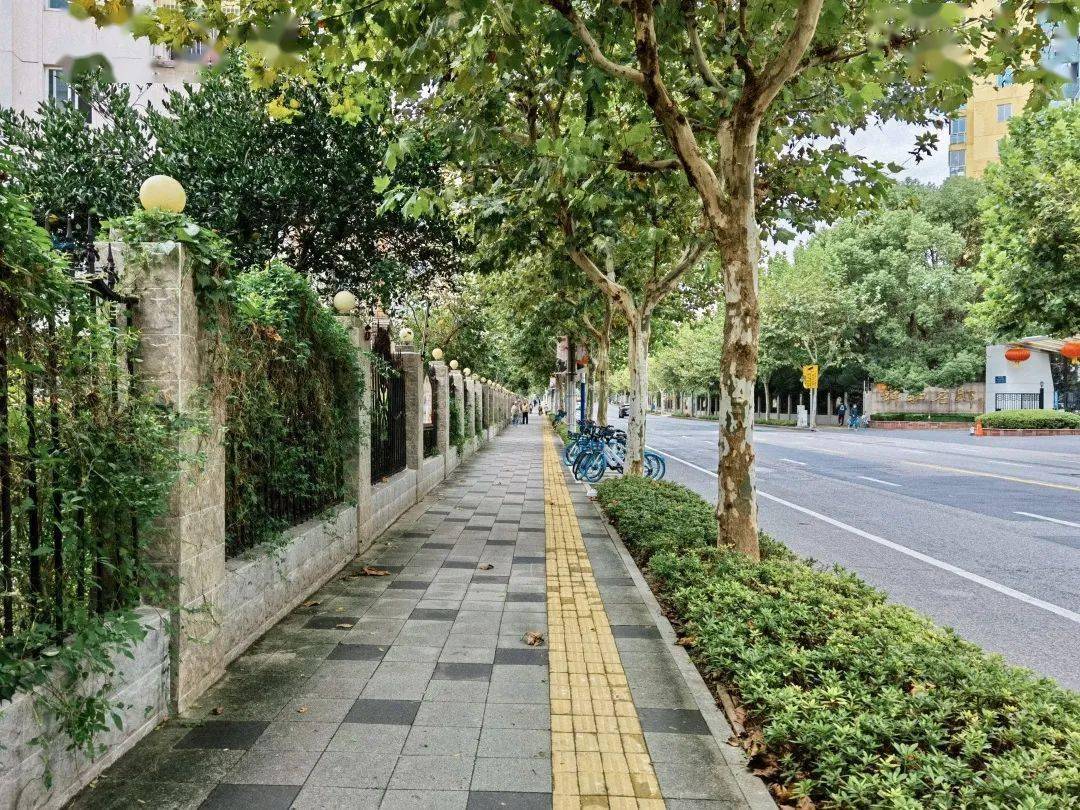 真光路景观完成升级可看可行有惊喜