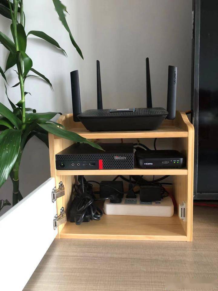 打开门的样子:不同于其他大佬,各种nas,机架式交换机等一大堆设备