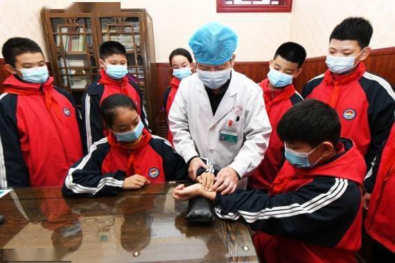 中药房|体验中医文化 迎接“世界传统医药日”