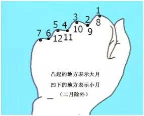 伸出左手,紧握成拳,拳头上突起的地方来记大月,凹下的地方记小月